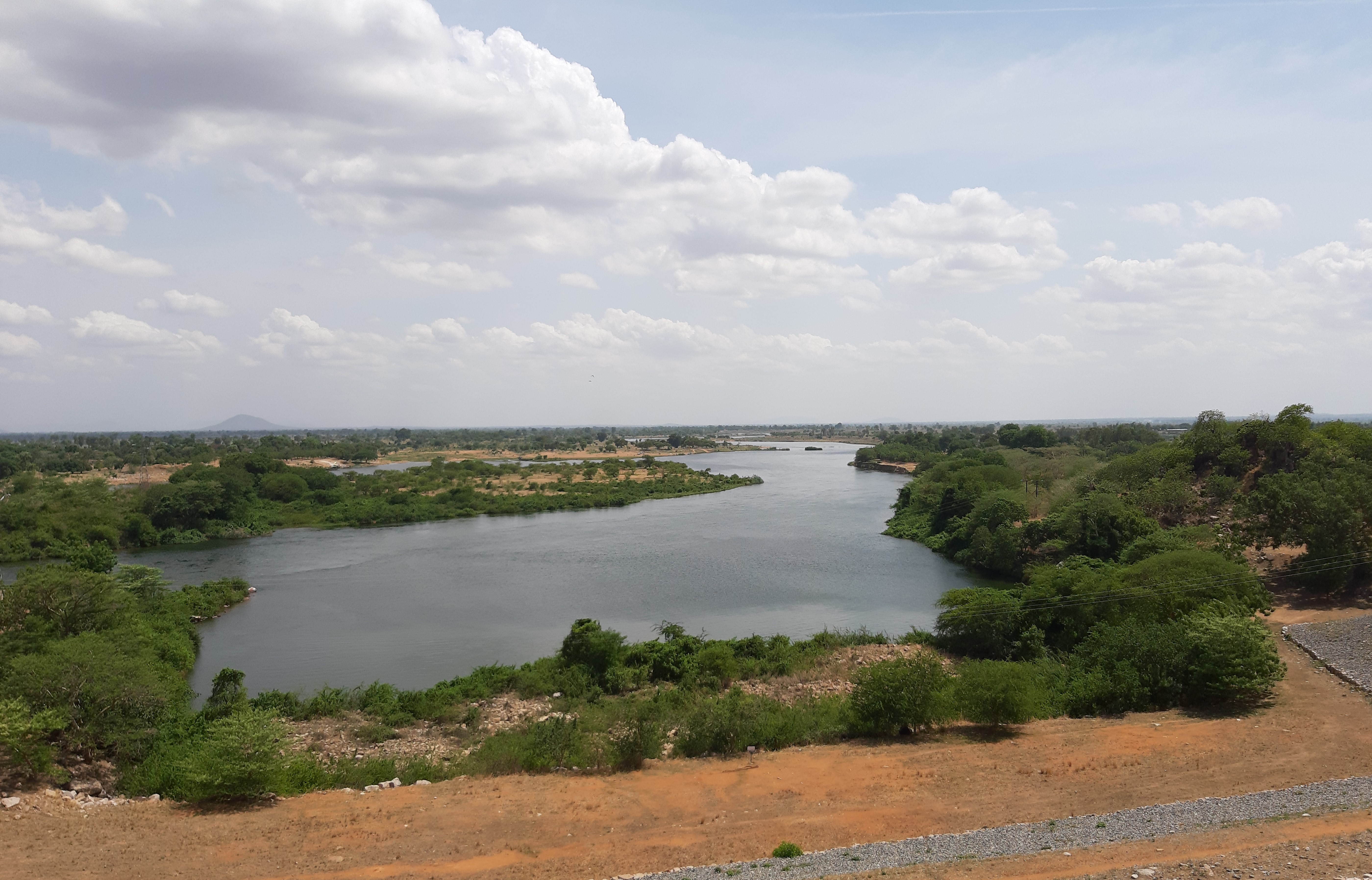 Die landwirtschaftlichen Flächen am Bénoué unterhalb des Lagdo Damms werden vom Be- und Entwässerungssystem profitieren.
