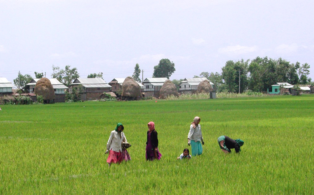 Eine Studie von Tractebel hilft, die Existenzgrundlage von Kleinbauern in Bangladesch, Indien und Nepal zu sichern.